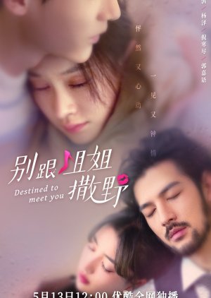 Nonton Film Destined to Meet You (2022) Sub Indo