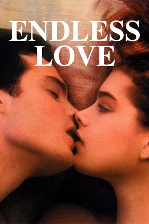 Nonton Endless Love (1981) Sub Indo jf