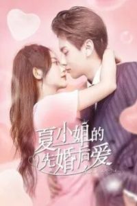 Nonton Love Starts with Marriage (2022) Sub Indo