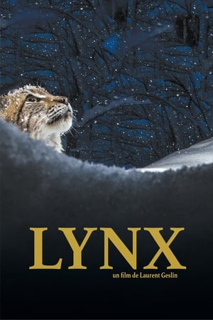 Lynx 2022 Poster