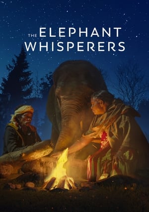 The Elephant Whisperers 2022 Poster