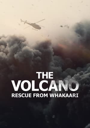 Poster Nonton The Volcano: Rescue from Whakaari (2022) Sub Indo jf