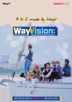 WayVision S01 (2020)