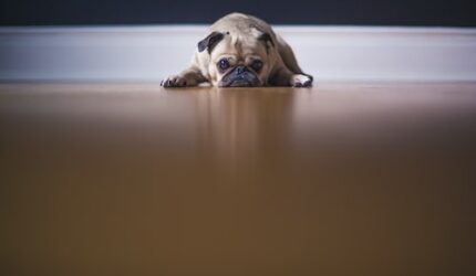 Nonton Film Cara Mudah dan Seru Mencari Uang Hanya dengan Menonton Drakor! Mulai Sekarang, Nikmati Hiburan Sambil Menghasilkan Uang yang Menggiurkan! Sub Indo