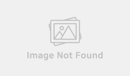 Nonton Film Sinopsis drama korea Fight for My Way (2017) lengkap Sub Indo