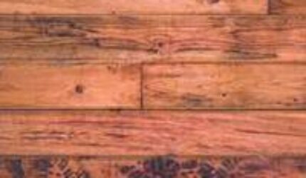 Nonton Film Simak Tuntas! 5 Cara Jitu Drakor di Telegram dengan Hemat Gaya dan Lebih Efisien! Sub Indo