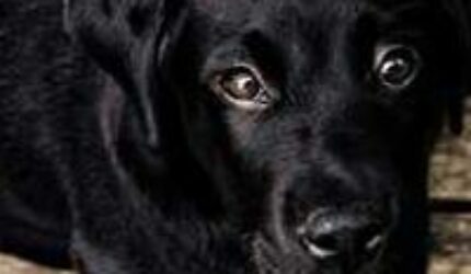 Nonton Film Terjawab! Bisnis & Cinta Berkolaborasi di Drakor Business Proposal yang Menggelegar – Ketahui Bagaimana Kisah Cinta & Ambisi Bisnis Berakhir! Jangan Sampai Ketinggalan! Sub Indo