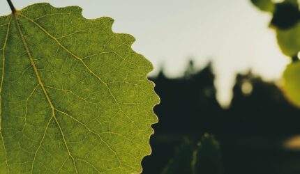 Nonton Film Sinopsis drama korea Standby (2012) paling di tunggu Sub Indo