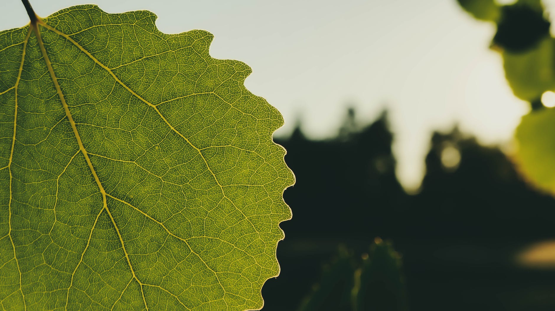 Nonton Film Sinopsis drama korea Standby (2012) paling di tunggu Sub Indo