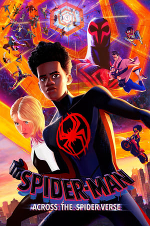 Spider Man Across the Spider Verse 2023 Poster