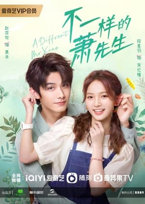 Nonton A Different Mr. Xiao (2023) Sub Indo