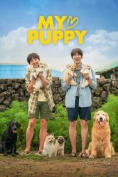 Nonton My♡Puppy (2023) Sub Indo jf