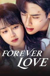 Nonton Film Forever Love (2023) Sub Indo