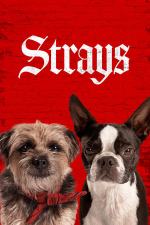 Nonton Strays (2023) Sub Indo jf