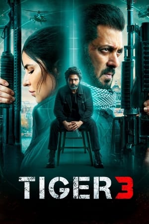 Nonton Tiger 3 2023 Sub Indo