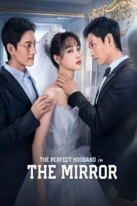 Nonton The Perfect Husband In The Mirror (2023) Sub Indo