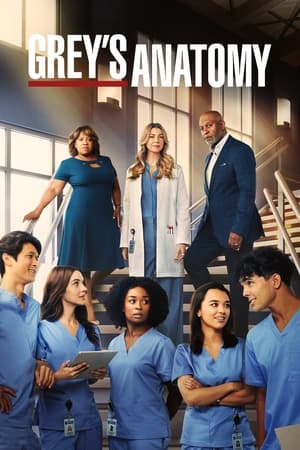 Nonton Grey’s Anatomy 2023 Season 19 Sub Indo