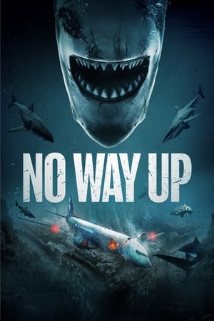 No Way Up 2024 Poster
