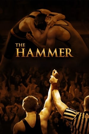 Poster Nonton The Hammer (2010) Sub Indo Jf