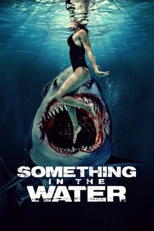 Poster Nonton Something in the Water 2024 Sub Indo