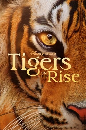 Tigers on the Rise 2024 Poster