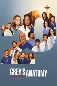 Nonton Grey’s Anatomy Season 17 2020 Sub Indo