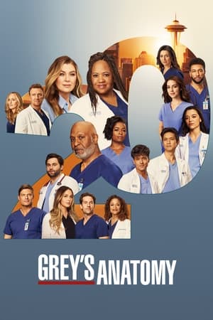 Nonton Grey’s Anatomy Season 16 2019 Sub Indo