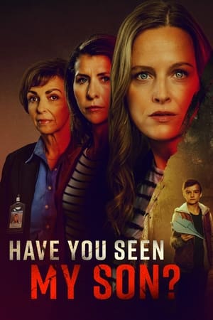 Nonton Have You Seen My Son? 2024 Sub Indo