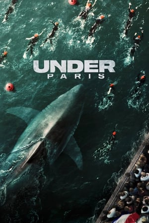 Under Paris 2024 Poster