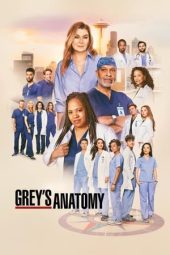 Grey’s Anatomy Season 9 2005