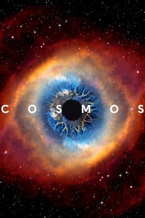 Cosmos Season 1 2014 Poster