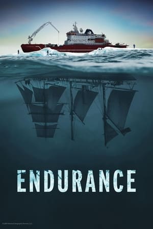 Endurance 2024 Poster