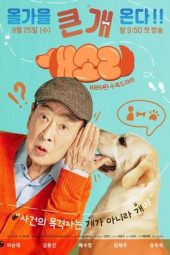 Nonton Film Dog Knows Everything 2024 Sub Indo