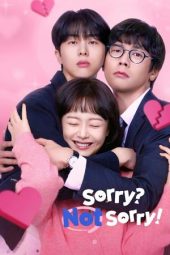 Nonton Film Sorry Not Sorry 2024 Sub Indo