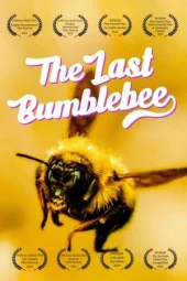 Nonton The Last Bumblebee 2024 Sub Indo JF