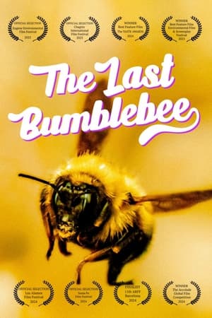 Nonton The Last Bumblebee 2024 Sub Indo JF