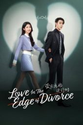 Love in the Edge of Divorce 2024