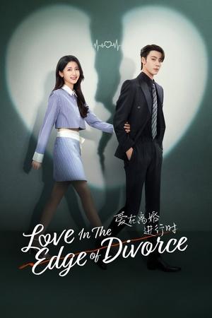 Nonton Love in the Edge of Divorce 2024 Sub Indo