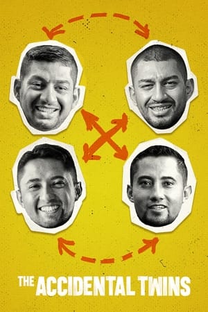 The Accidental Twins 2024 Poster