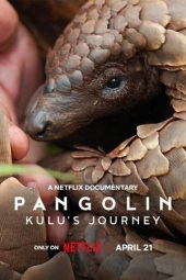 Pangolin: Kulu’s Journey 2025