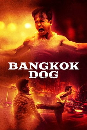 Bangkok Dog 2024 Sub Indo Poster