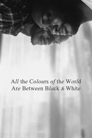 Nonton All the Colours of the World Are Between Black and White 2023 Sub Indo JF