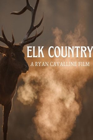 Elk Country 2025 Poster