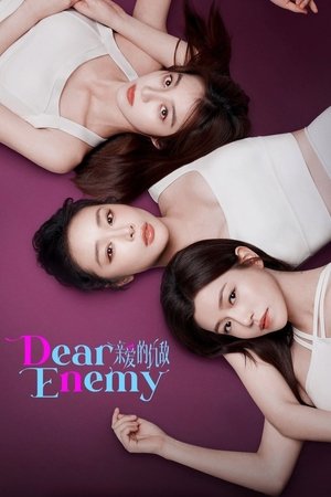 Dear Enemy 2025 Poster