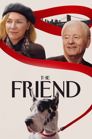 Nonton The Friend 2024 Sub Indo JF